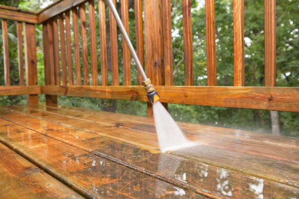 Best Dumpster Area Cleaning  in Carl Junction, MO